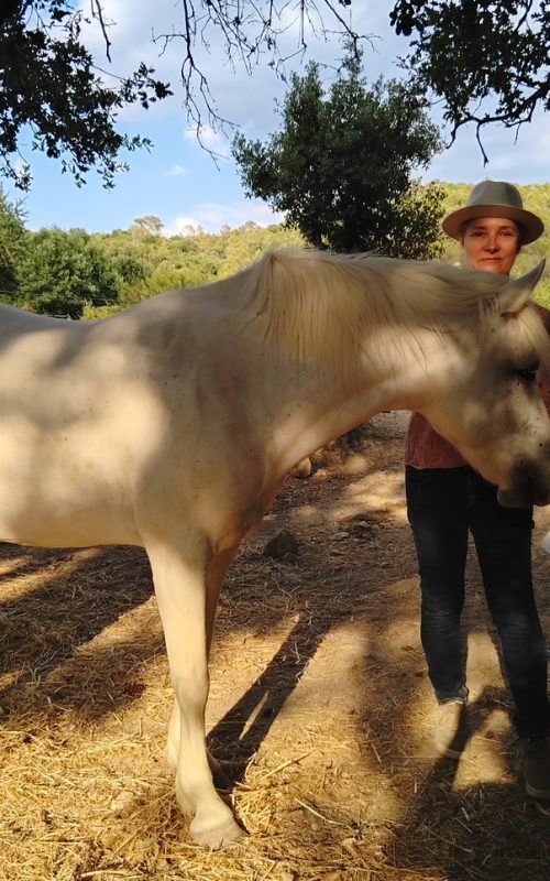Myriam Eelbode cheval et retraites